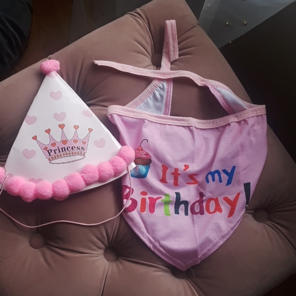 Dog birthday bandana set - Picture 2 of 6